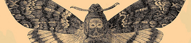 Death's-Head Hawkmoth Mottephobia